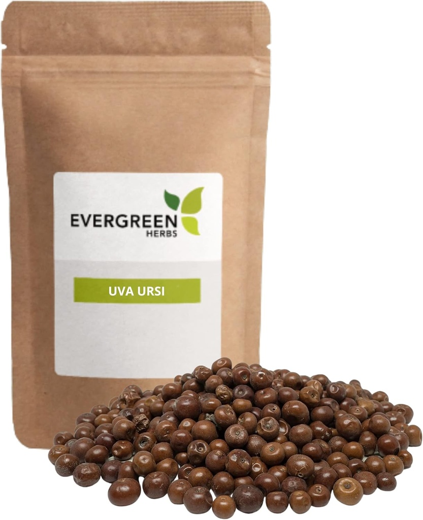 Evergreen Kruiden Pinguica Fruto - Uva Ursi Fruit (8 oz.) - Hersluitbare Stand Up Pouch om te zorgen voor versheid!