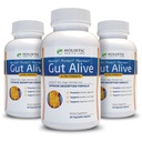 Gut Alive - Alle natuurlijke ondersteuning voor de bestrijding van IBS, Heartburn, Acid Indigestie, Acid Reflux, Bloating & Gas.
