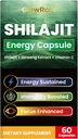 Shilajit Capsules, hoge kwaliteit Shilajit uit Himalaya, Overvloedig Fulvinezuur & 85+ Trace Minerals, Glutenvrij, Geen toegevoegde Sugar Shilajit Capsules voor mannen en vrouwen