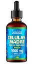 Celulas Madres Stem Cell Support, Plant-Based, Adaptogen Blend,Cordyceps, Rhodiola Rosea, Afa, Astragalus, B Complex, Reishi, Ganoderma, Blue-Green Algen, Spirulina, 1000mg Natural 13 Key Ingredients.