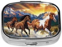 Running Horses Printed Square Pill Organizer met 2 Compartments, Portable Mini Pill Box Pill Case voor Geneeskunde, Vitamine, Visolie, Supplementen