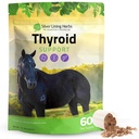 Silver Lining Herbs Schildklierdier Ondersteuning voor paarden 
