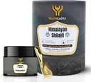 Himalaya Shilajit Resin 