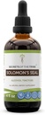 Geheimen van de Stam Solomon seal tinctuur Alcohol Extract, High-Potency Kruidendruppels, Tinctuur Gemaakt van Wildcrafted Solomon's Seal Polygonatum odoratum Respiratory System Health 4 oz