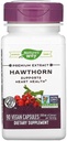 Nature's Way Hawthorn Bessen, 90 capsules (verpakking van 2)
