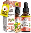 GuruNanda liquide Ashwagandha avec Bacopa (1 Fl Oz) - Supplément alimentaire naturel- gouttes d'extrait liquide - pour les hommes et les femmes- Vegan et sans alcool - Aides en immune, Focus & Relaxation Support