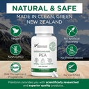Palmitoylethanolamide Pea Supplement 600mg - Micronized Pea Supplementen 99% - 2 maanden levering - geavanceerde natuurlijke ondersteuning voor gezamenlijke comfort
