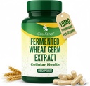 Suppléments de spermidine pour les hommes et les femmes – 10mg, 99% Pureté, 1000mg Extrait de germe de blé fermenté pour le renouvellement cellulaire, la défense du vieillissement et le soutien de la longévité – Inducteur d'autophagie – 60 Capsules