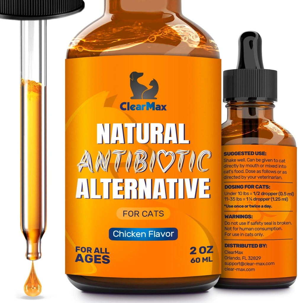 Cat Antibiotic to Help with Cough & Allergies 