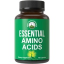 Alle 9 essentiële aminozuren supplement. Capsules met 3X Meer Leucine voor spierherstel, groei. EAA-supplement beter dan BCAA / BCAAS vertakte keten Aminozuur. VS Geteste LR's voor mannen + vrouwen