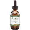 Native Remedies Immune Defense 14 Mushroom Blend to Protect and Maintain Immune System Function, 2 Fl oz.