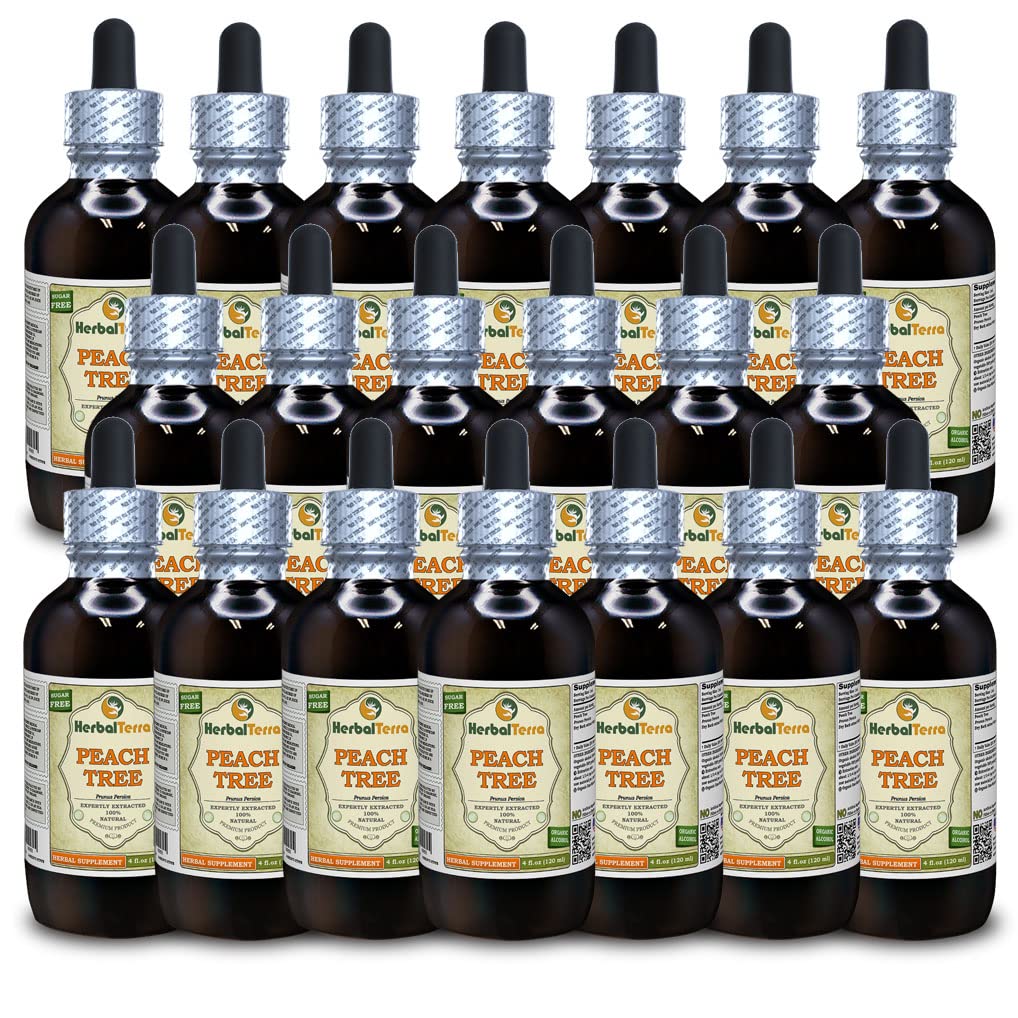 Arbre de pêche (Prunus Persica) Teinture, extrait liquide d'écorce séchée (marque: HerbalTerra, fièrement fabriqué aux États-Unis) 20x4 fl.oz (20x120 ml)