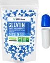 XPRS Nutra Taille 3 Capsules vides - 500 Compte Capsules de gélatine vides - Pills Bricolage Capsule Remplissage - Pure Pilule de Gel de Pilule pour Do-It-Youlf Vitamines et Suppléments (Blue/White)