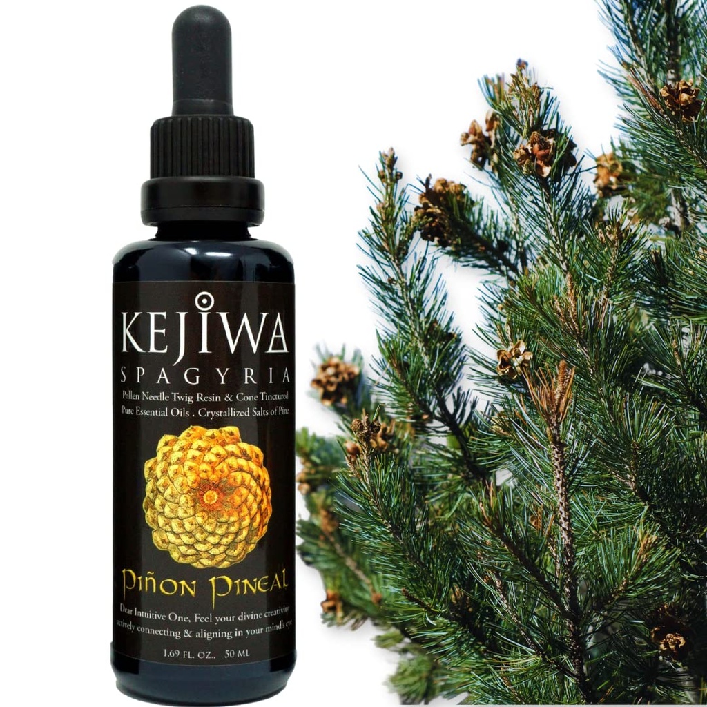 Kejiwa PIÑON PINEAL Spagyria: Wild Geoogste pijnboom kruiden Tinctuur voor Third Eye Activation, Nootropic, Adaptogen, Vitality Support 1.69 floz