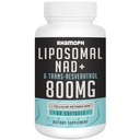 Liposomale NAD+ 800 mg met Trans-Resveratrol 300 mg, Max Absorptie, Werkelijke NAD+ Boosting Supplement voor gezonde veroudering, Cellular Energy, DNA Reparatie, Levensduur - 60 Softgels