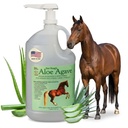 Doc Hoags Aloe Vera+Agave Premium Horse Supplement – Made in USA – Baume d'Udder original – Soutien gastrique naturel pour chevaux et grands animaux – Soulagement du stress et soins de l'ulcère, 128 Fl Oz.