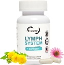 Lymf Systeem Ondersteuning Supplement - Lymfatische Drainage Supplement met Echinacea purourea Extract,Dandelion Extract 60 Tellen