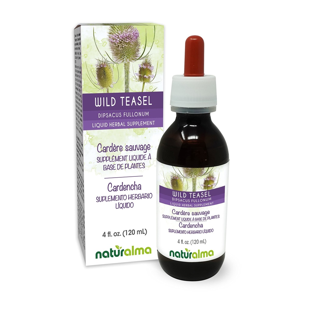 Naturalma Wild Teasel of Fuller's Teasel (Dipsacus fullonum of D. sylvestris) Wortel Alcoholvrije Tinctuur - 4 floz Liquid Extract in druppels - Kruidensupplement - Veganistisch