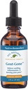 Native Remedies Gout-Gone - Natural Homeopathic Formula for The Joint Swelling, Redness and Discomfort of Gout - 59 mL