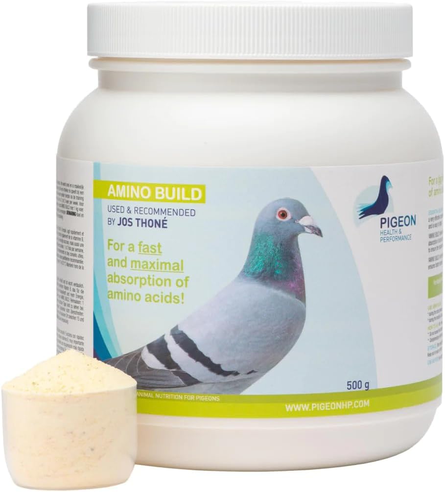 Generieke PHP Amino Build 500g - Muscle-Building Amino Acids Duiven Gezondheid & Performance