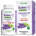 Nattura Calm Aid Lavendel olie pillen - 500mg - 60 Softgels - 100% natuurlijke, helpt verminderen stress, kalmeren voor lichaam en geest, niet-GMO, gecertificeerde Kosher