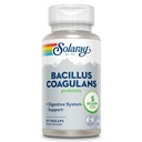 SOLARAY Bacillus Coagulans Probiotic - 5 miljard levende micro-organismen - Digestie en Gut Health Ondersteuning - Volledige lichaamsgezondheid Probiotica met Inulin Prebiotic Fiber, 60-dagen garantie, 30 Serv, 60 VegCaps