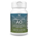 Mannatech Ambrotose AO 60 Capsules Loaded w/ Vitamin C and Vitamin E. Helps Body Against Free Radicals. Gluten-Free, Dairy-Free & Vegetarian-Friendly Immune Support Supplement