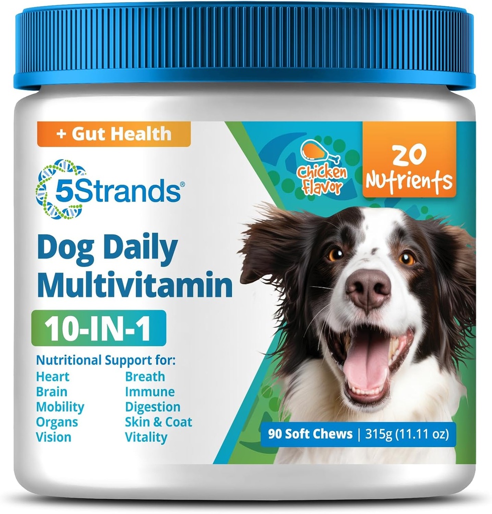 5Strands Honden Multivitamine Kauwen, 10-in-1, Vitaminen & Postbiotica, Alle leeftijden & Ras - Vertering, Hersenen, Organen, Hart, Mobiliteit, Visie, Huid & Coat, Immune Health - Hondensupplement (Kip, 90ct)