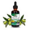 Antwoorden Olive Leaf Extract, Alcoholvrij, Non-GMO, Veganistisch, Glutenvrij, Made in USA, 2 Ounce extract voor Wellness