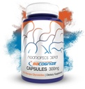 Nootropics Depot BaCognize Bacopa Monnieri 300mg Capsules (120 Count) Herbe ayurvédique non-OGM, sans gluten et amie des végétariens