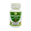 Morsan Healthcare Sarpgandha (Rauvolfia Serpentina) 500 mg. Capsules, supplément pur et à base de plantes 60 mg.