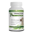 Capsules prébiotiques pour les femmes et les hommes – Supplément de prébiotiques biologiques avec fibre d'acacia, fibre de Vita, mélange de champignons Tricelium – Supplément de fibre prébiotique pour Gut Health, Digestion & Microbiome Support