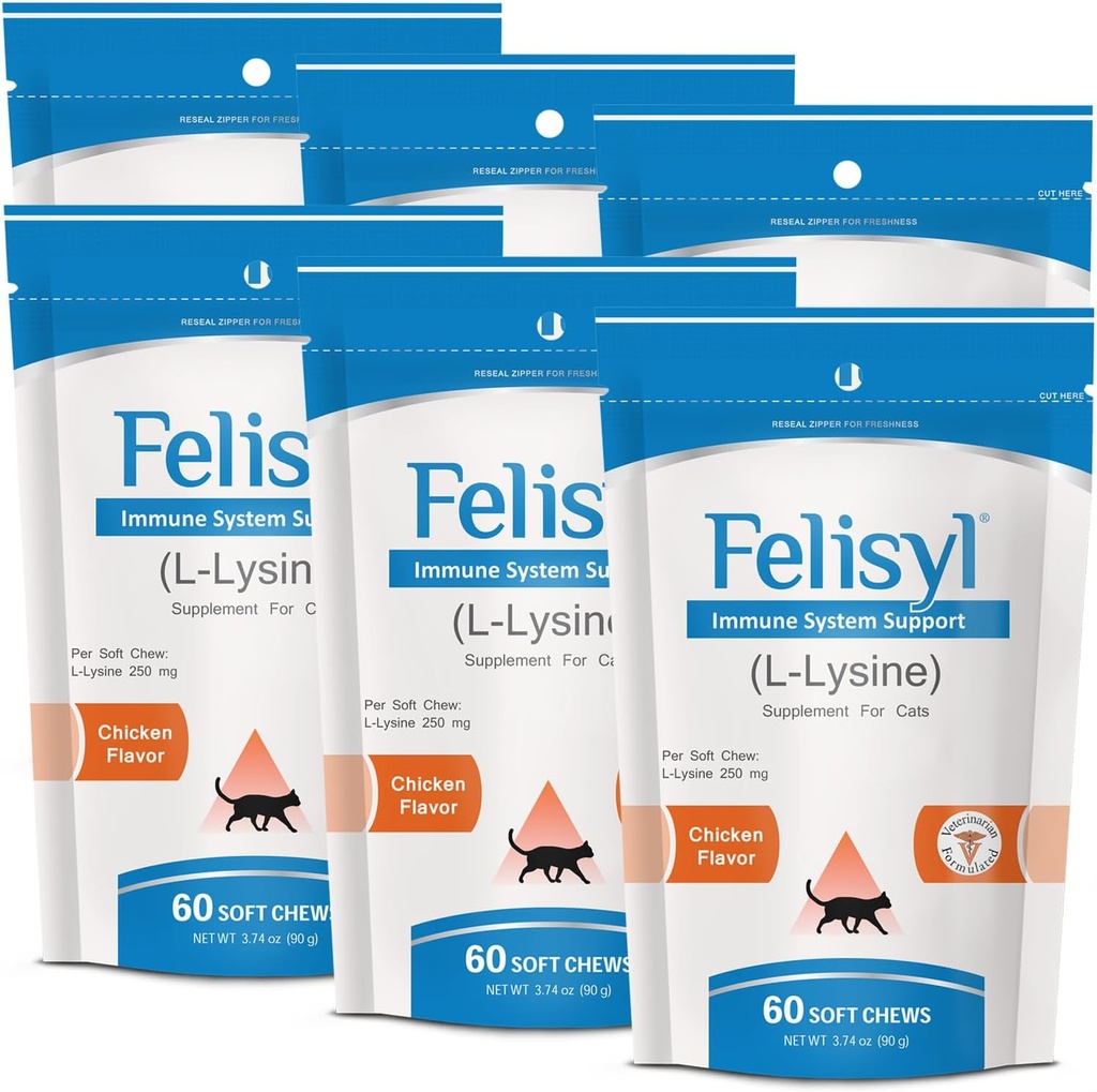 L-Lysine Zachte Kauwen voor katten (60 Zachte Kauwen) Ondersteunt Immune, Respiratory, en Eye Health. Eases niezen, Runny Neus, en waterige ogen. Zalm smaak - (6 Pack)