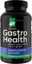 Daiwa Gastro Health 