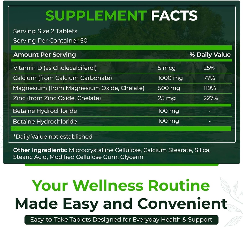 Natuurlijke Nutra 500 Tel, Calcium Magnesium Zink Supplement met Vitamine D3 voor bot sterkte, helpt bij het verbeteren van spijsvertering, gezondheid Glutenvrij en suikervrije, essentiële minerale complex