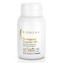 Biogena Pycnogenol 100 mg Goud met Premium Gepatenteerde Franse Maritieme Pine Bark Extract (Pinus Pinaster) ter ondersteuning van bloedcirculatie