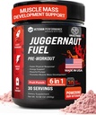 Juggernaut Fuel Preworkout. 30 porties. Suikervrij, zonder kunstmatige zoetstoffen, Creatine-vrije formule met Beta-Alanine voor energie en hydratatie. Gemaakt in Amerika.
