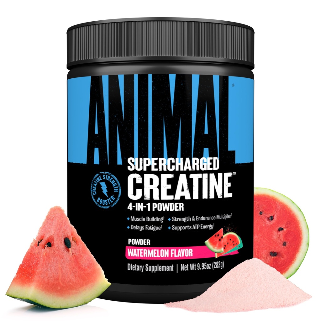 Dier Supercharged Creatine Powder - Flavored Creatine Monohydraat Enhanced with Betaine Anhydrous, PurpleForce & Senactiv, Strength, Endurance, Muscle Recovery for Men and Women - Watermeloen, 300g
