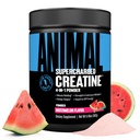 Dier Supercharged Creatine Powder - Flavored Creatine Monohydraat Enhanced with Betaine Anhydrous, PurpleForce & Senactiv, Strength, Endurance, Muscle Recovery for Men and Women - Watermeloen, 300g