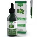 Chlorofyl Liquid Drops - 100% Natural Energy Booster and Immune Support - Internal Deodorant and Detox - Altitude Succe Relief - Fast Absorptie, Vegan & Non-GMO - 120 Servings (Pack of 1)
