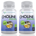 Premium Choline - 500 mg - 120 Veggie Capsules - Ondersteunt Cognitive Health, Memory & More - 2 Pack