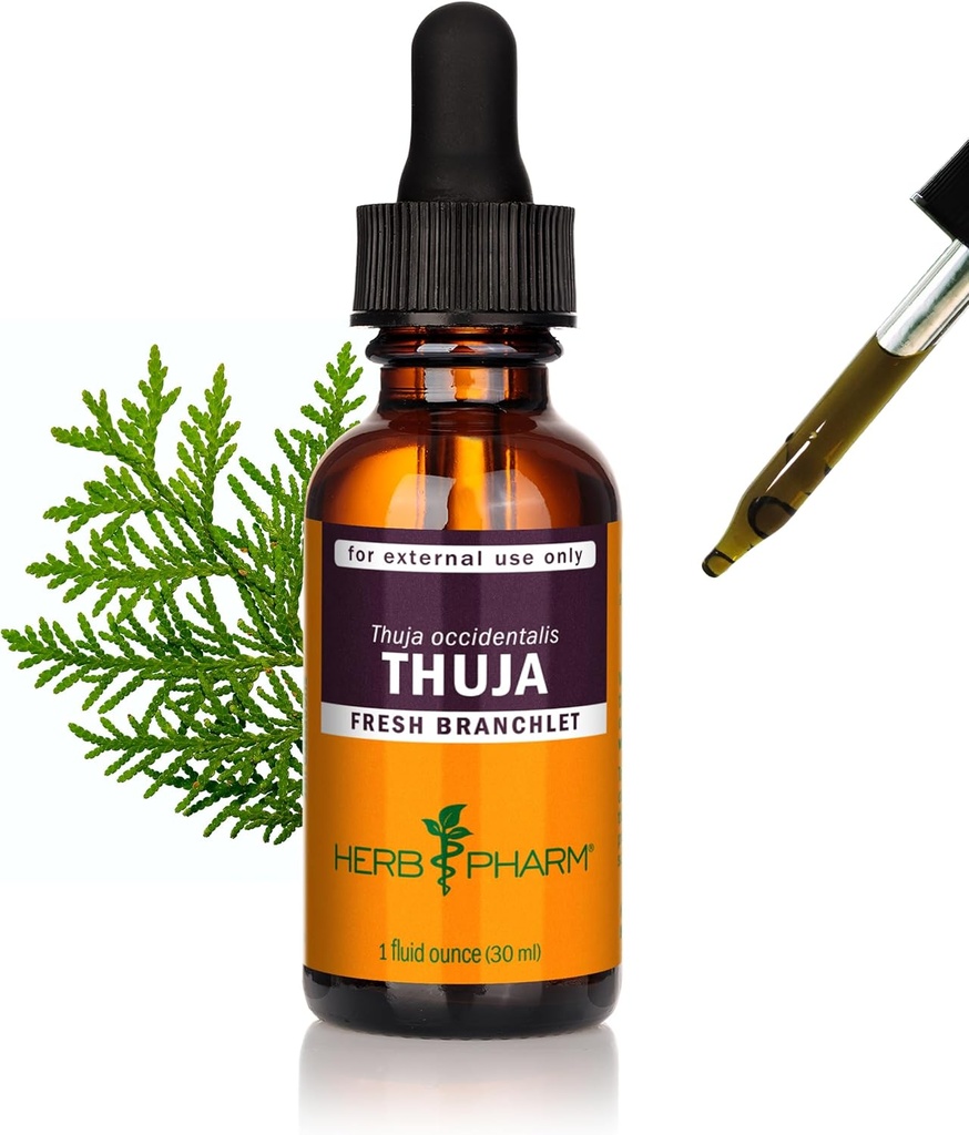 Extrait liquide de la branche Thuja - 1 once (DTHUJA01)