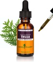 Extrait liquide de la branche Thuja - 1 once (DTHUJA01)