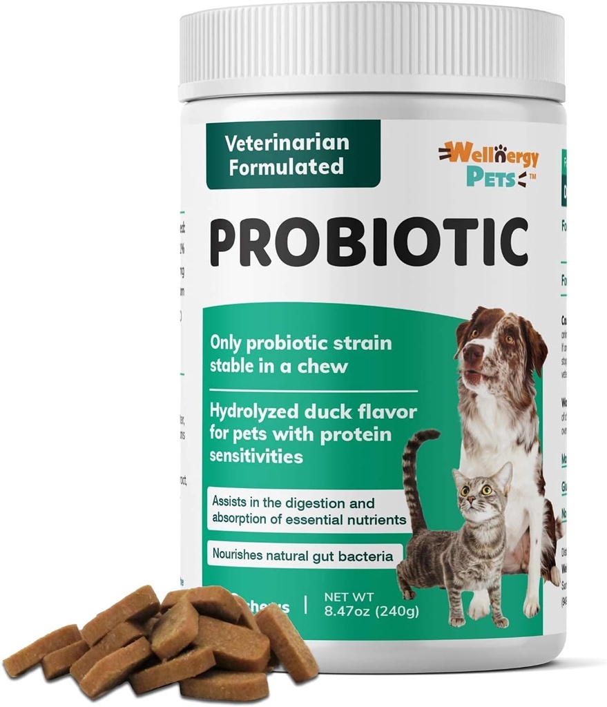 Wellnergy Daily Probiotic & Prebiotics Soft Chew for Dogs & Cats - Digestieve ondersteuning voor diarree, constipatie, verstoorde maag, spijsvertering en gas - helpt spijsvertering, Allergie Huid & Immune Health 160ct