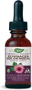 Nature's Way Premium Formula Echinacea-Goldenseal, 250 mg per portie, 99,9% Alcoholvrij, 1,01 Oz.
