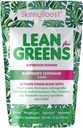 SkinnyBoost - Lean Greens & Super Food Powder - Ultimate Power Blend with Green Tea, Mushroom Blend, Ashwagandha, Spirulina Algen & Wholefoods - Natural Detox & Clean Energy - 30 Servings -12 Oz