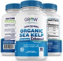 Biologische Zee Kelp (IJslands) Enhanced - Pure Gezonde Schildklier Ondersteuning Natuurlijke Jodium Supplement w/Organische Zee Kelp, Blauw-Groene Algen & Red Algen - Immune System & Metabolisme Ondersteuning - 90 Capsules