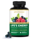 Life's Energy Advanced Daily Multivitamine for Men & Women, Energy & Immune Support Supplement with Super Greens - Antioxidanten & Enzymen - Iron Free, Vegetarian, 120 Tablets by Life's Fortune