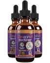 Rejuvica Santé Zenapin IR - Supplément de soutien à l'humeur avancé - Kava Kava, Ashwagandha, Passionflower, Camomille, B-Vitamines et plus