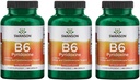 Swanson B6 Pyridoxine - Supplément de vitamine favorisant la santé cardiovasculaire et le métabolisme énergétique - Formule naturelle favorisant le mieux-être général - (250 capsules, 100 mg chacune) 3 Pack